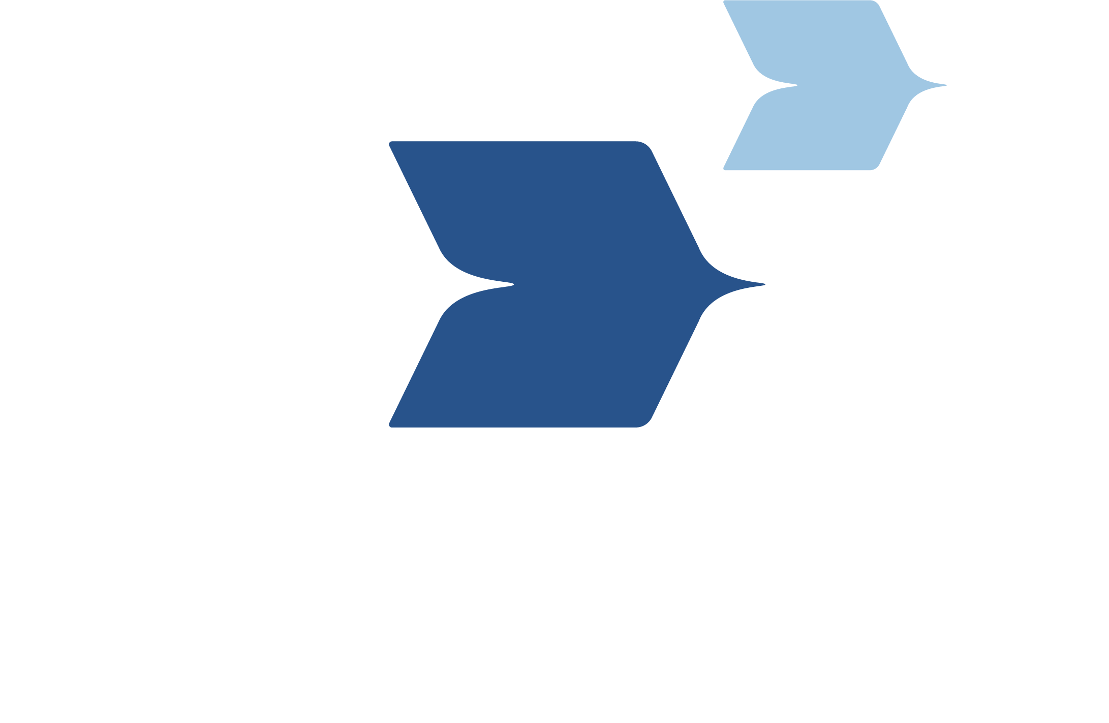 VetAdvance_Logo_white_color
