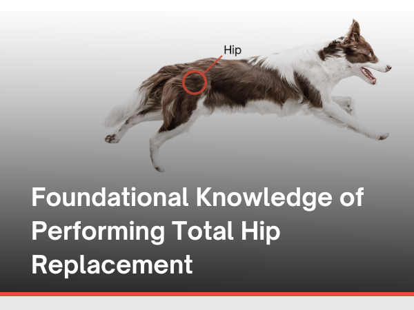 Performing THR_Online Course