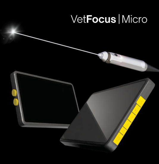 Movora_VetFocus_LP_MicroNeedleScope_2026